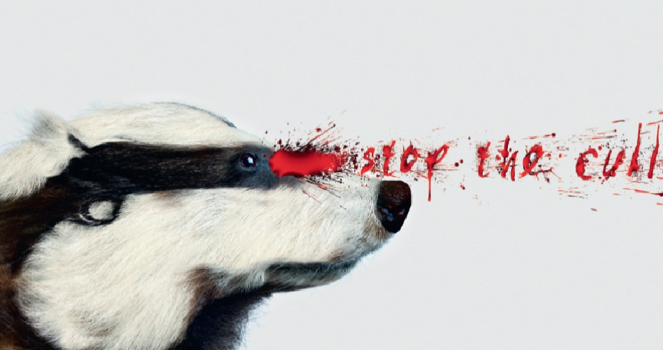 3. Care for the Wild International-copy