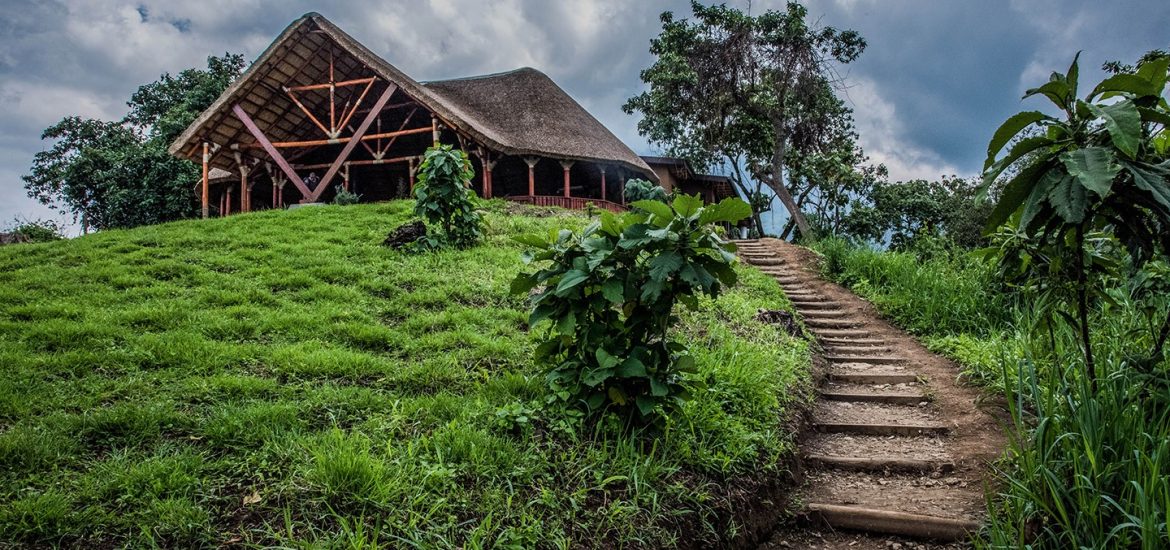 Visit Virunga Park, DR Congo