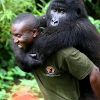 Support Virunga this Holiday Season!